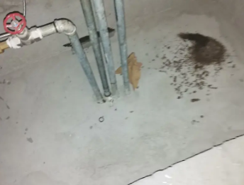 复兴卫生间测漏水价格明细